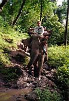 Elefantenreiten bei Chiang Mai